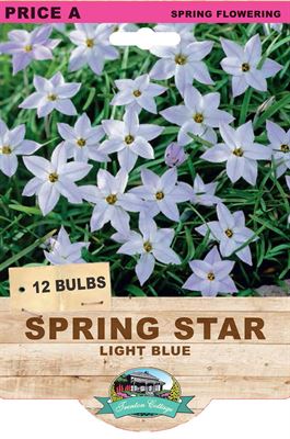 Picture of SPRING STARS - LIGHT BLUE