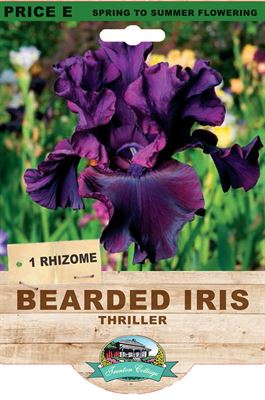 Picture of BEARDED IRIS - THRILLER