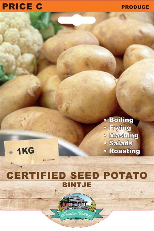 Picture of CERTIFIED SEED POTATO - BINTJE