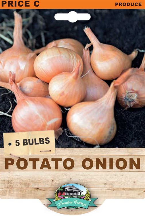 Picture of POTATO ONION