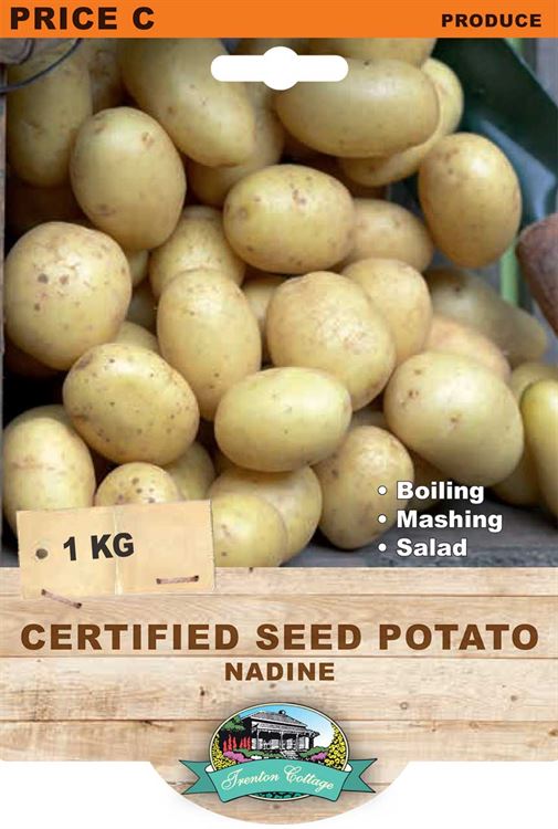 Picture of CERTIFIED SEED POTATO - NADINE