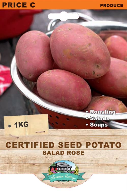 Picture of CERTIFIED SEED POTATO - POTATO SALAD ROSE
