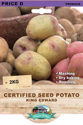 Picture of CERTIFIED SEED POTATO - KING EDWARD