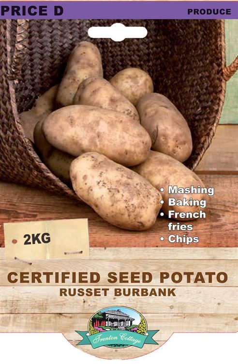 Picture of CERTIFIED SEED POTATO - RUSSET BURBANK