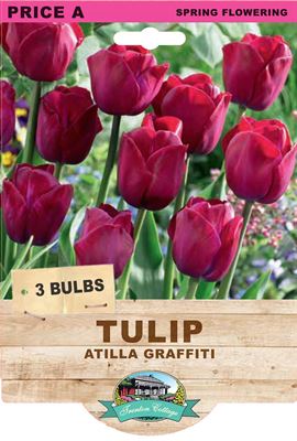 Picture of TULIP - ATILLA GRAFFITI