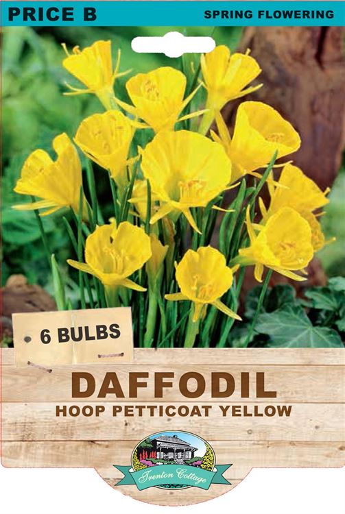 Picture of DAFFODIL - HOOP PETTICOAT YELLOW