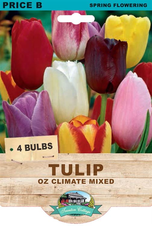 Picture of TULIP - OZ CLIMATE MIXED