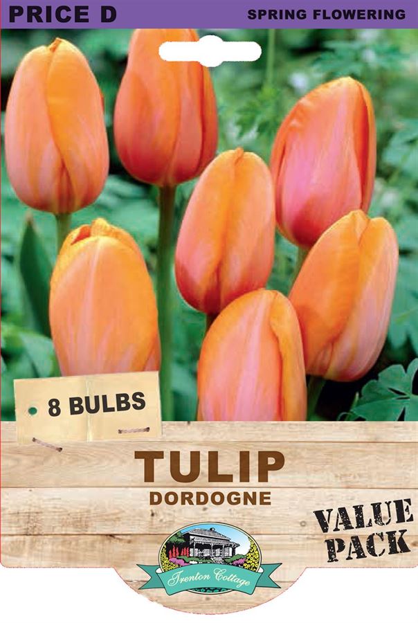 Picture of TULIP - DORDOGNE