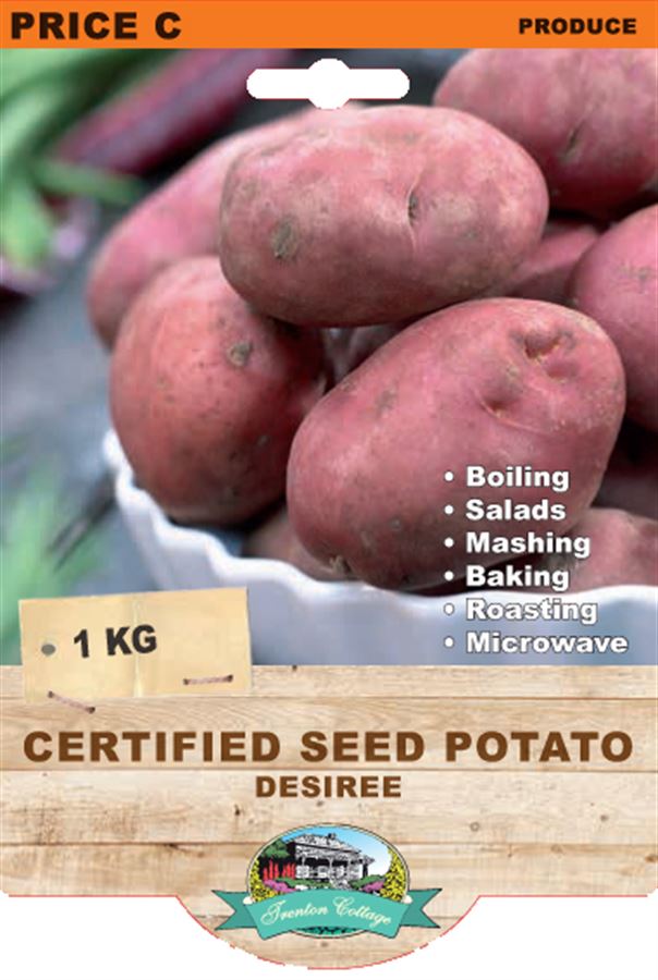 Picture of CERTIFIED SEED POTATO - DESIREE