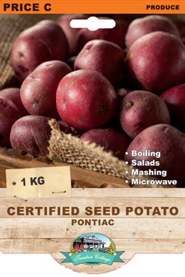 Picture of CERTIFIED SEED POTATO - PONTIAC