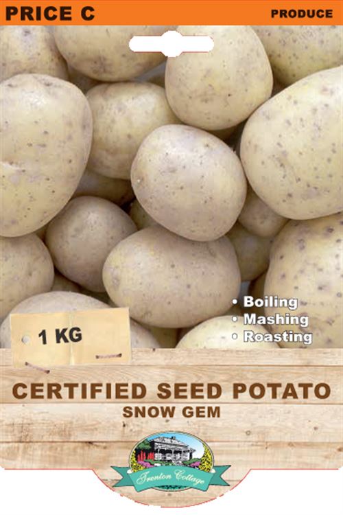 Picture of CERTIFIED SEED POTATO - SNOW GEM