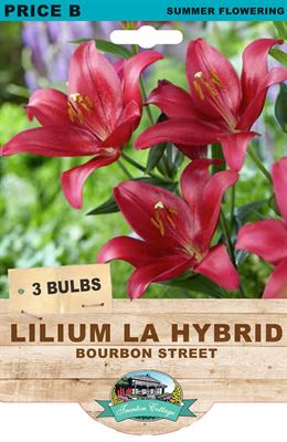 Picture of LILIUM LA HYBRID - BOURBON STREET