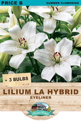 Picture of LILIUM LA HYBRID - EYELINER