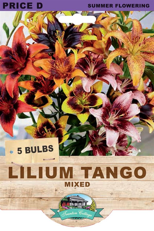 Picture of LILIUM TANGO - MIXED