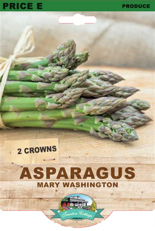 Picture of ASPARAGUS - MARY WASHINGTON