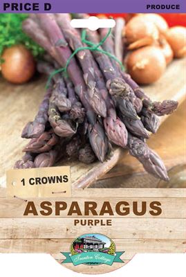 Picture of ASPARAGUS - PURPLE