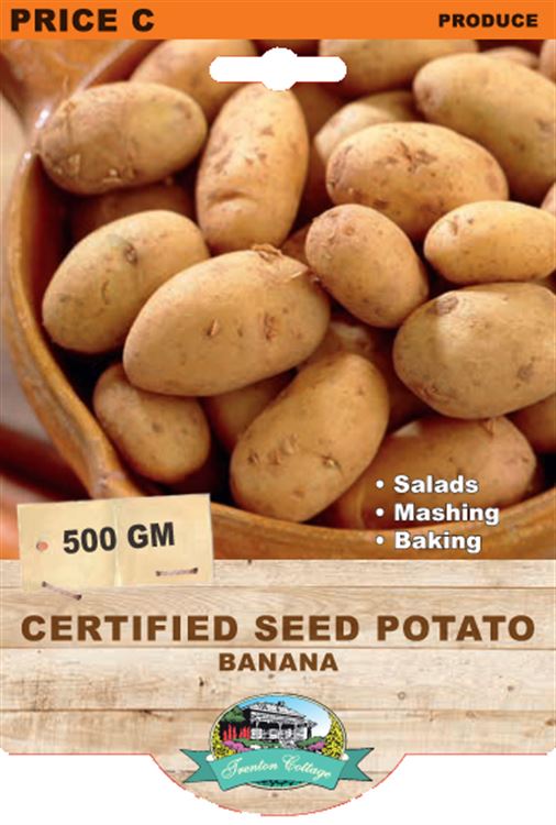 Picture of CERTIFIED SEED POTATO - BANANA