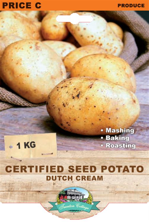 Picture of CERTIFIED SEED POTATO - DUTCH CREAM