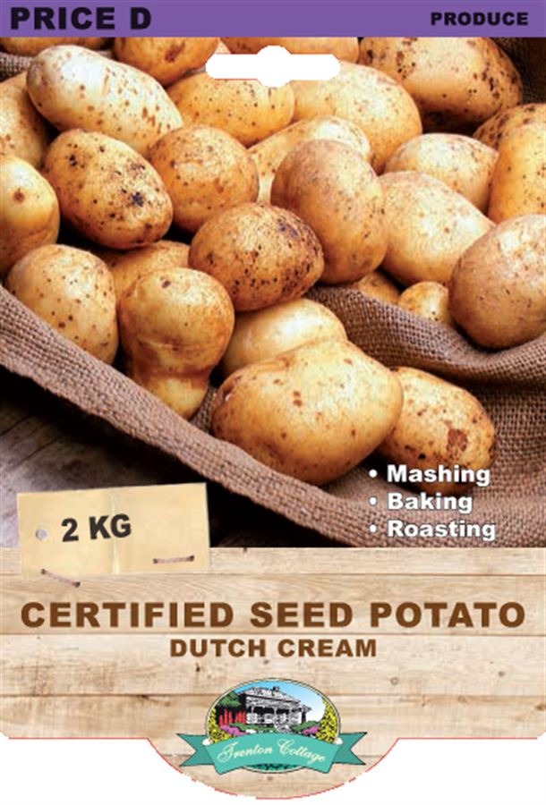 Picture of CERTIFIED SEED POTATO - DUTCH CREAM