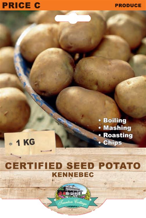 Picture of CERTIFIED SEED POTATO - KENNEBEC