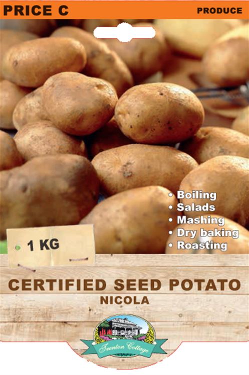 Picture of CERTIFIED SEED POTATO - NICOLA
