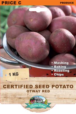 Picture of CERTIFIED SEED POTATO - OTWAY RED