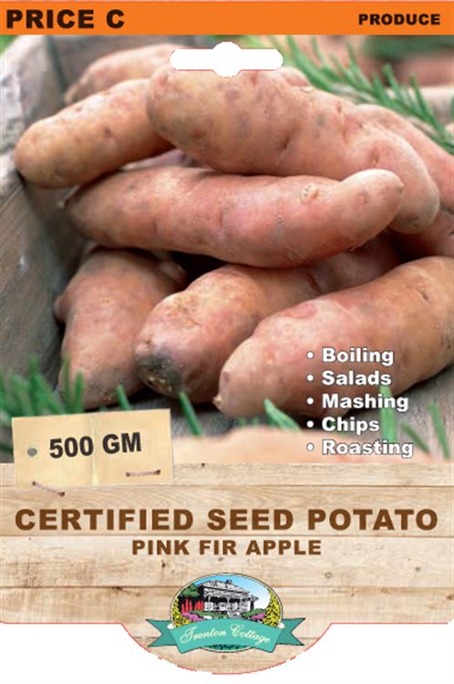 Picture of CERTIFIED SEED POTATO - PINK FIR APPLE