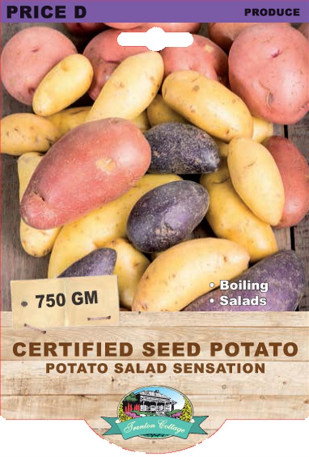 Picture of CERTIFIED SEED POTATO - POTATO SALAD SENSATION