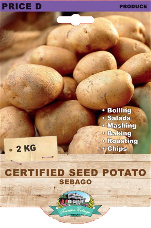 Picture of CERTIFIED SEED POTATO - SEBAGO