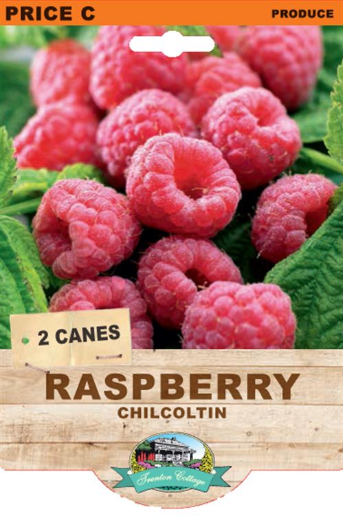 Picture of RASPBERRY - CHILCOLTIN