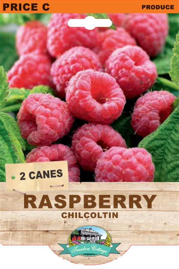 Picture of RASPBERRY - CHILCOLTIN