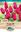 Picture of TULIP - BURGUNDY LACE
