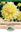 Picture of DAHLIA DECORATIVE - LEMON SNOW